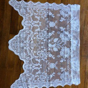 Lace Cafe Curtains (2 panels)